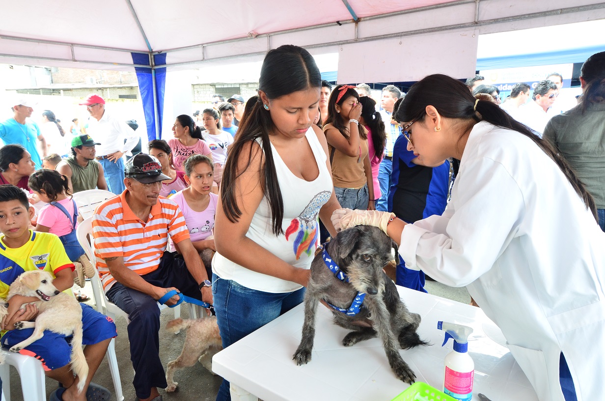 guayas contigo isidro ayora 2