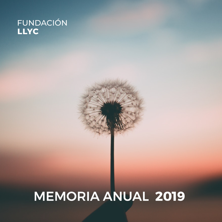 memoria anual 2019