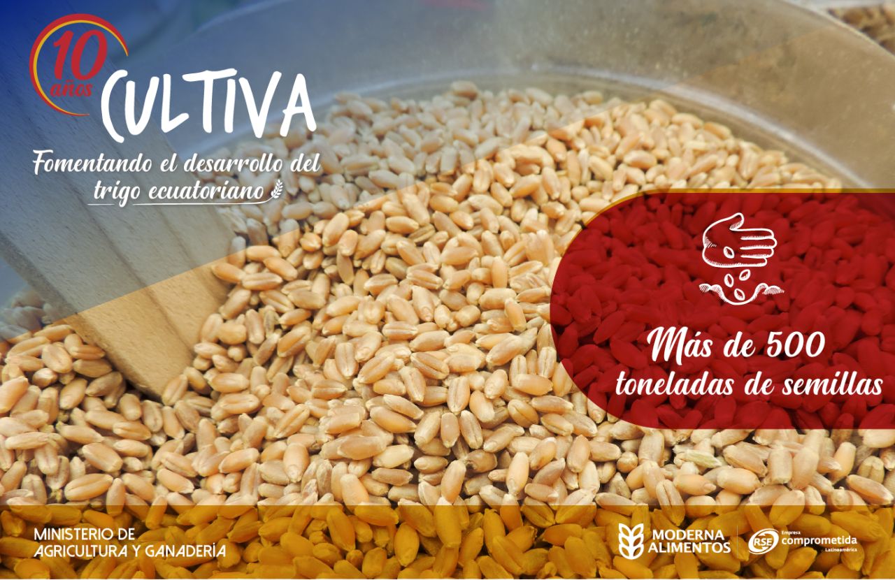 moderna alimentamos 02