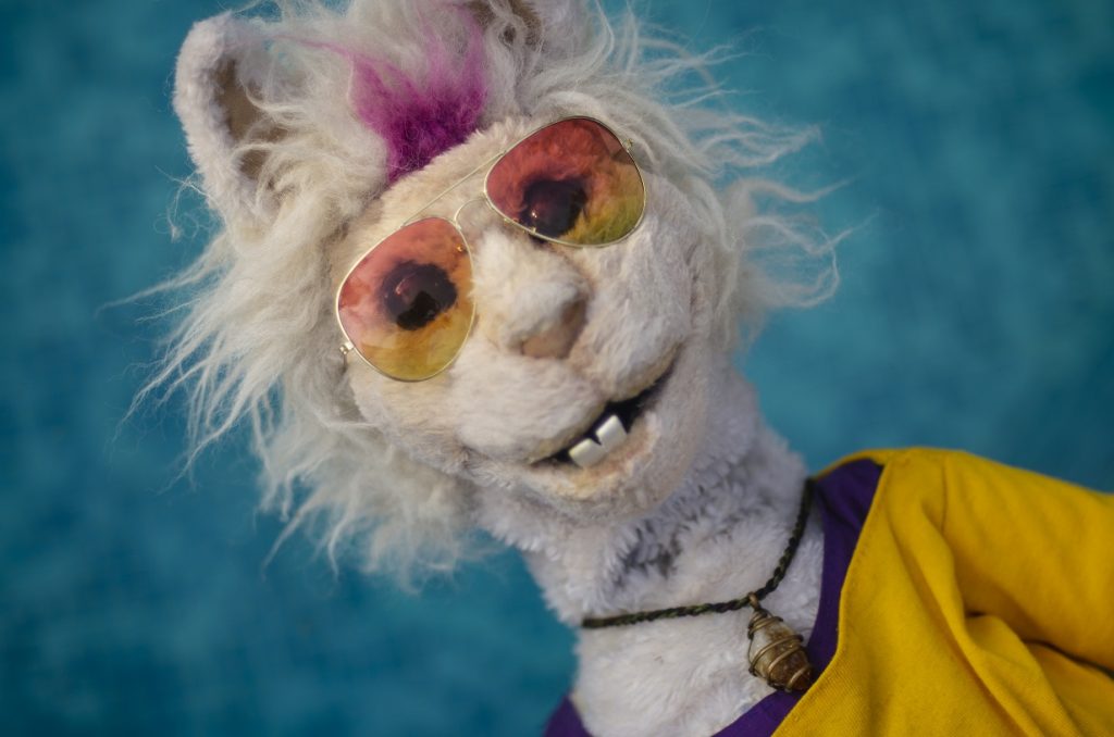 nina llama 2