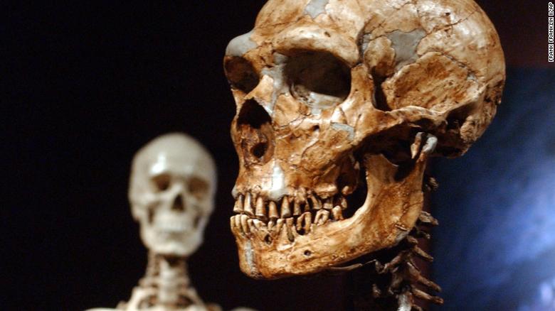 how neanderthal dna affects our health how neanderthal dna affects our health