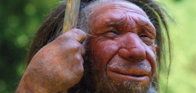neanderthals thumbs were well suited to squeeze study says