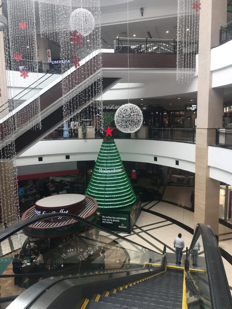 heineken legendary trees 2