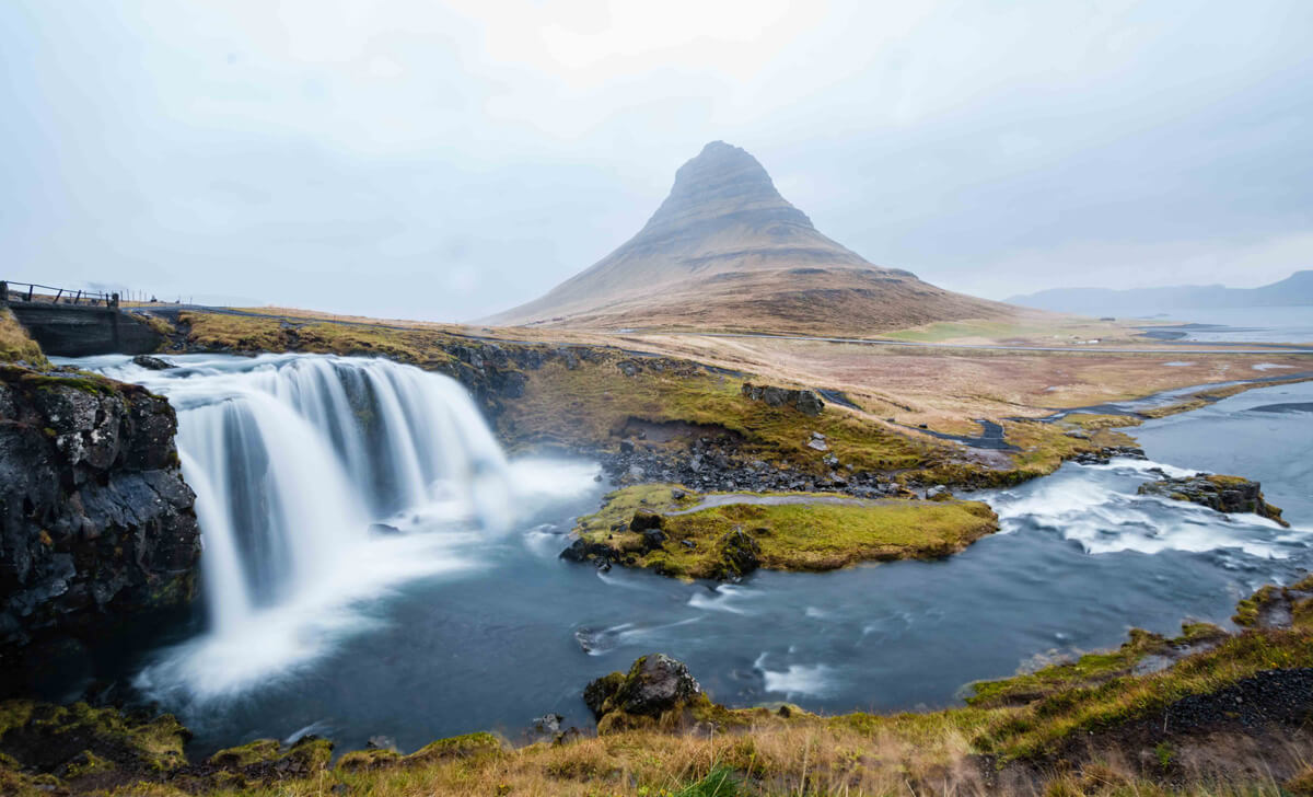 islandia mosquitos insectos
