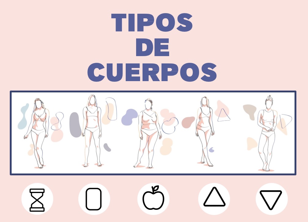 tipos de cuerpos