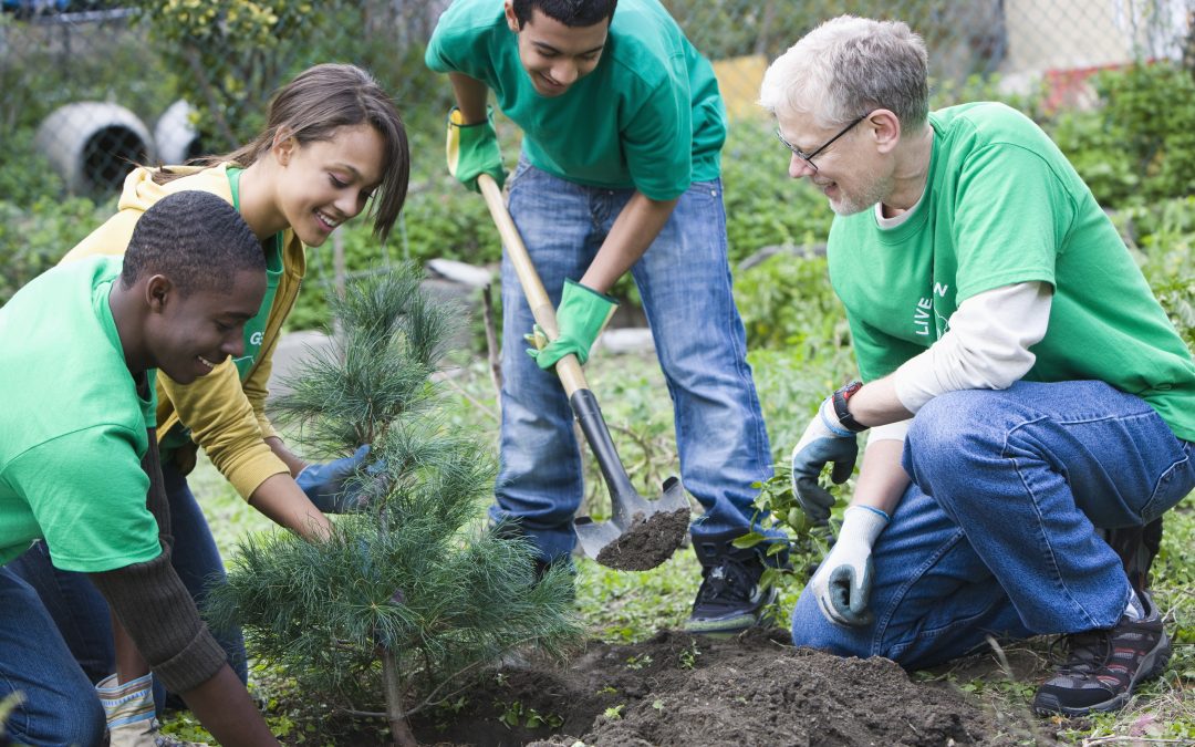get involved in social work