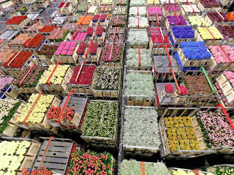 flores dia mujer