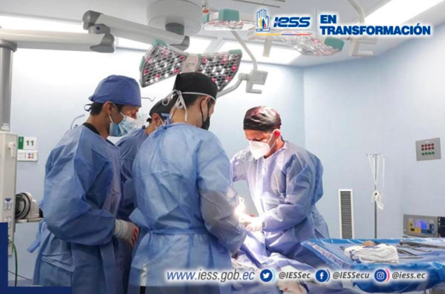 iess ceibos