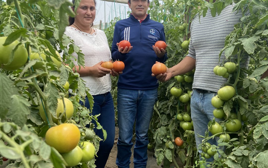 iniciativa se puede 2