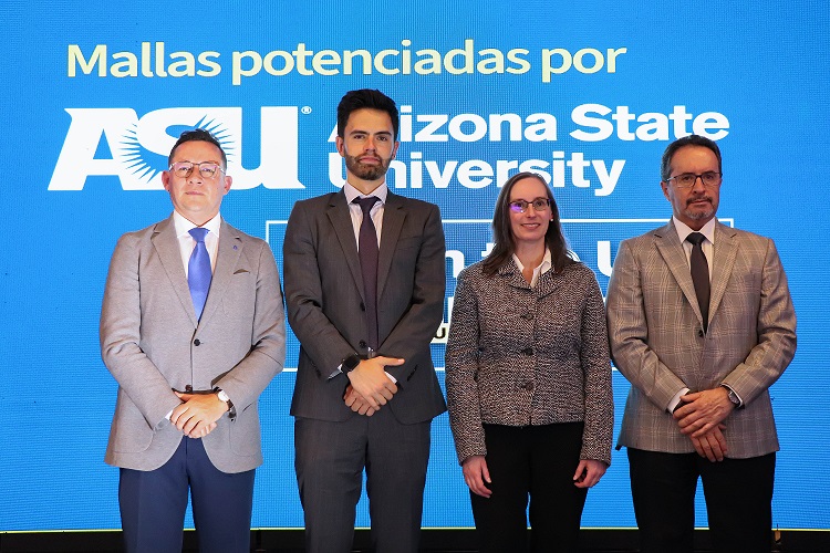 programa 31 1
