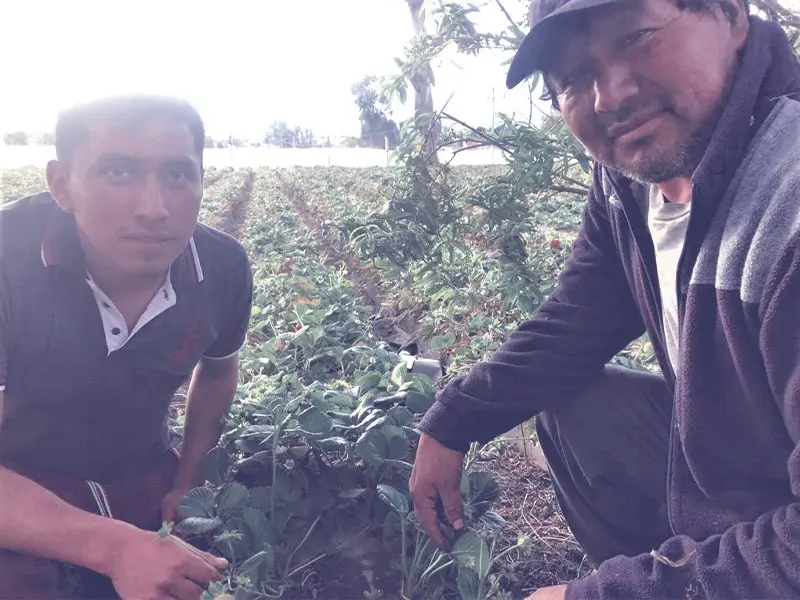 Estudiante Indoamericano crea un sistema de riego que impulsa la agricultura del futuro 1