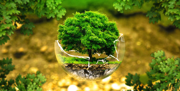 conservacion naturaleza 8