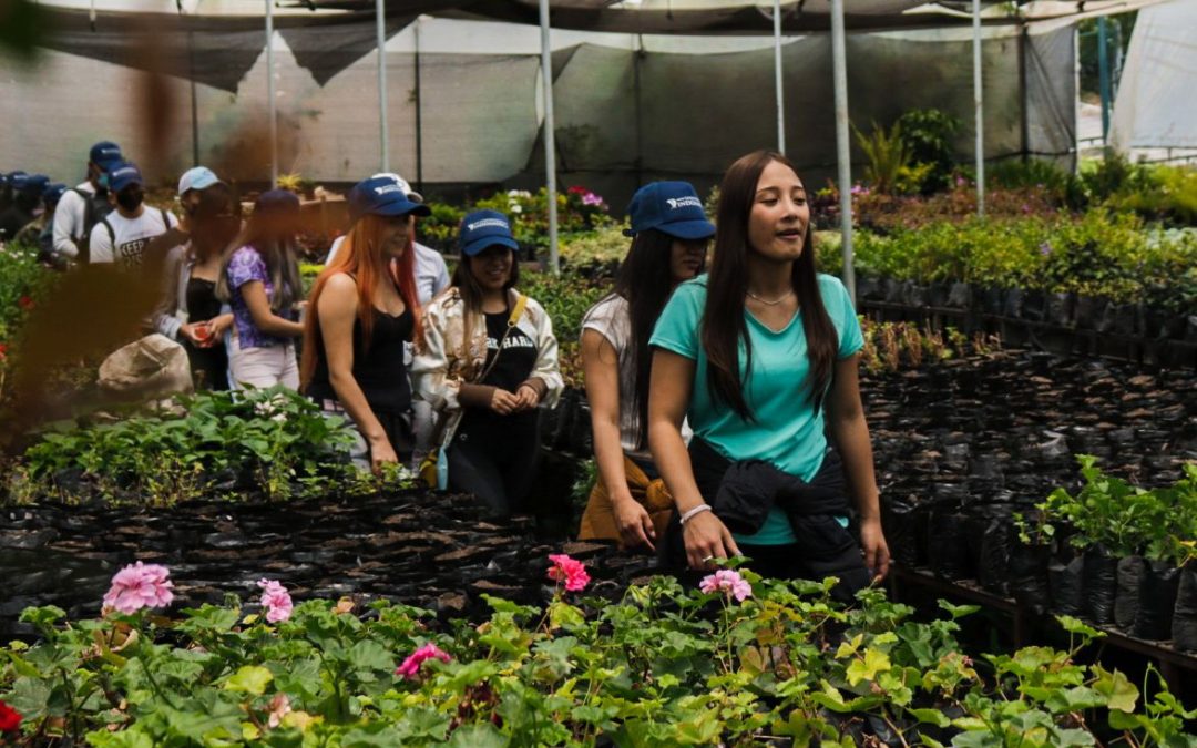 nuevos estudiantes de indoamErica reforestan el parque el sueNo 2