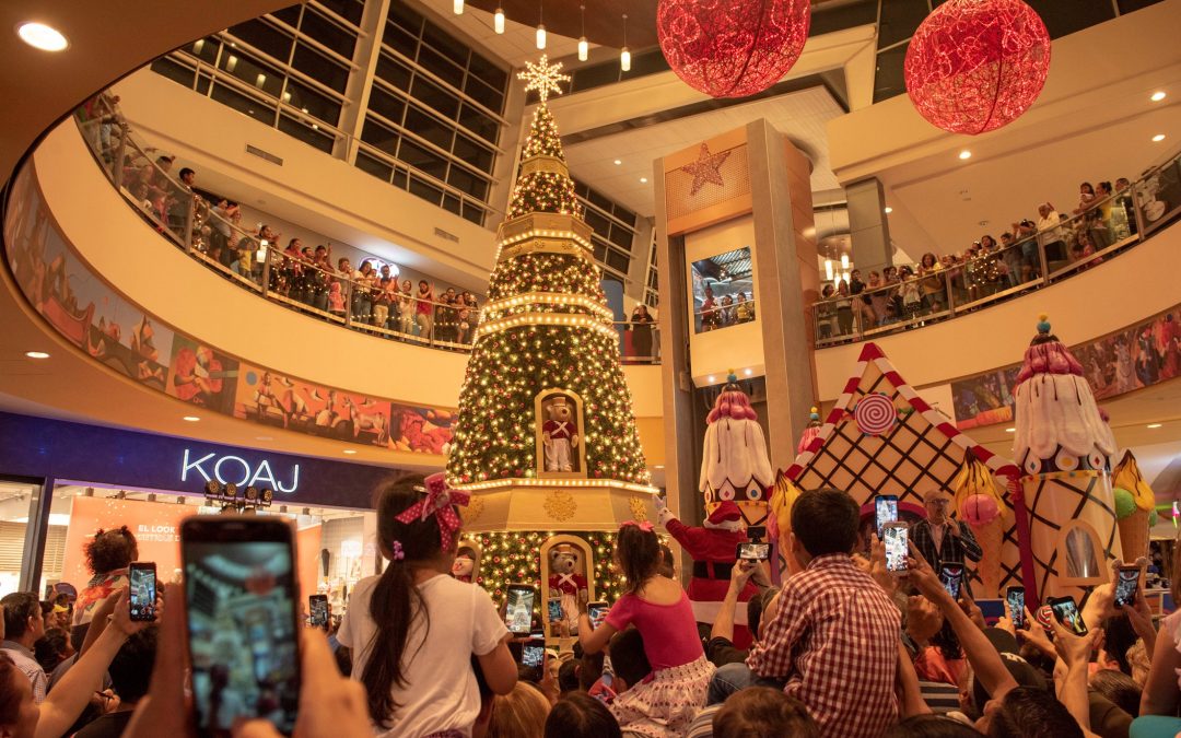archivo citymall 1