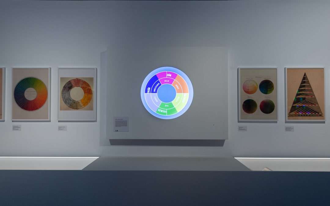 exposicion color