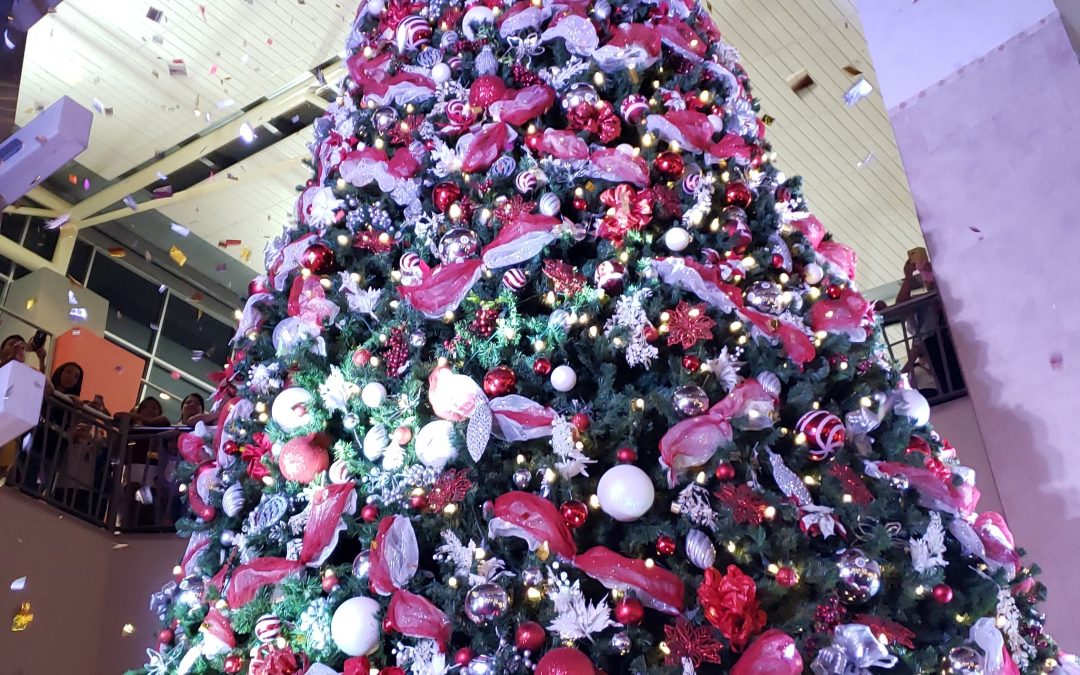 navidad mall del sur archivo