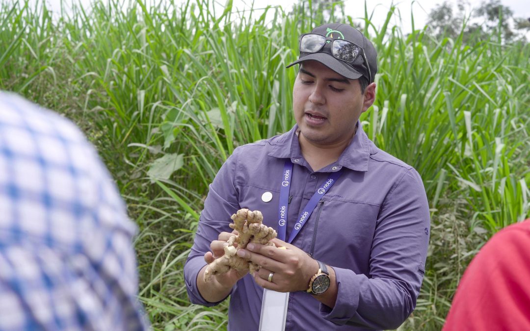 proyecto agricola