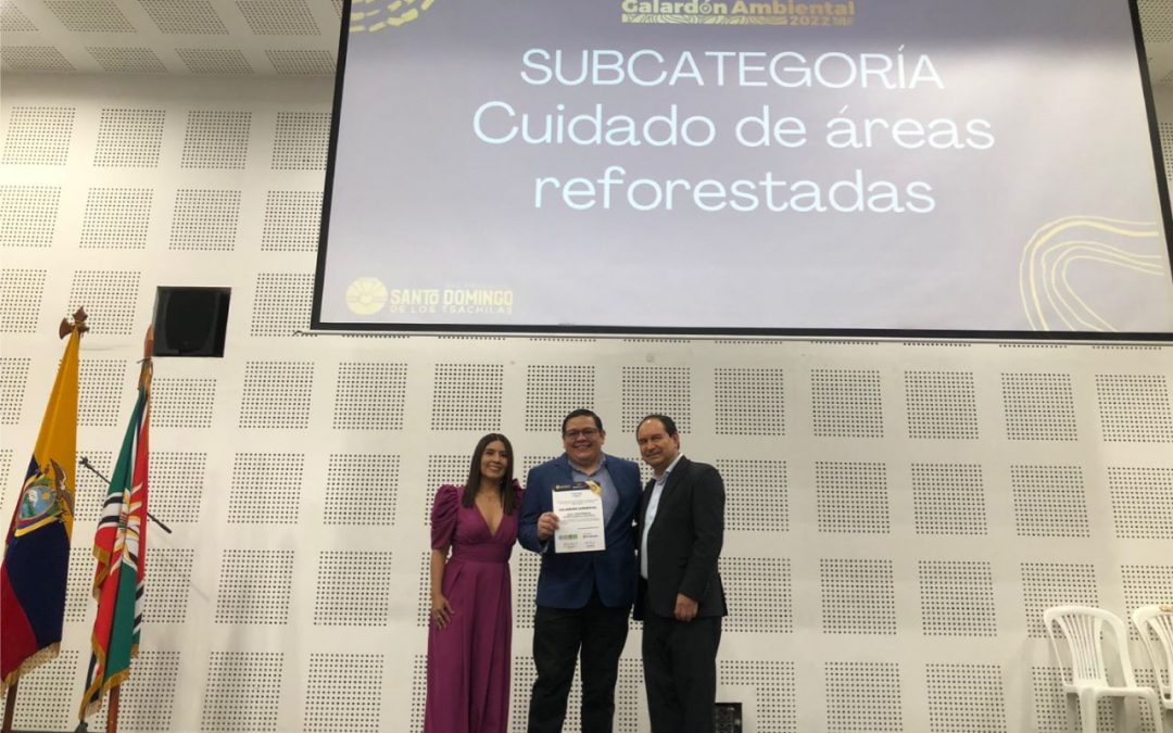 foto ace santo domingo