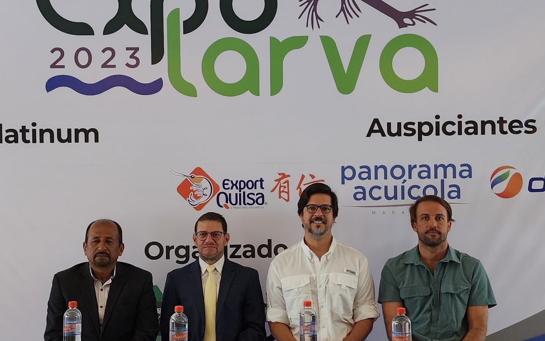 expo larva