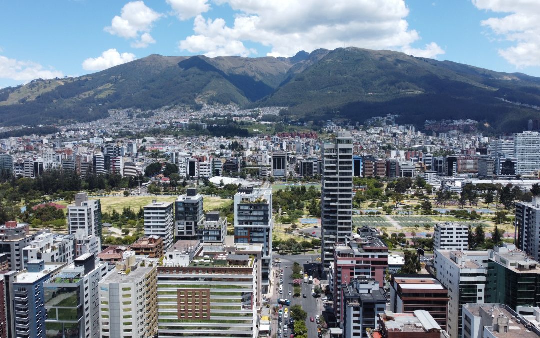 sector inmobiliario