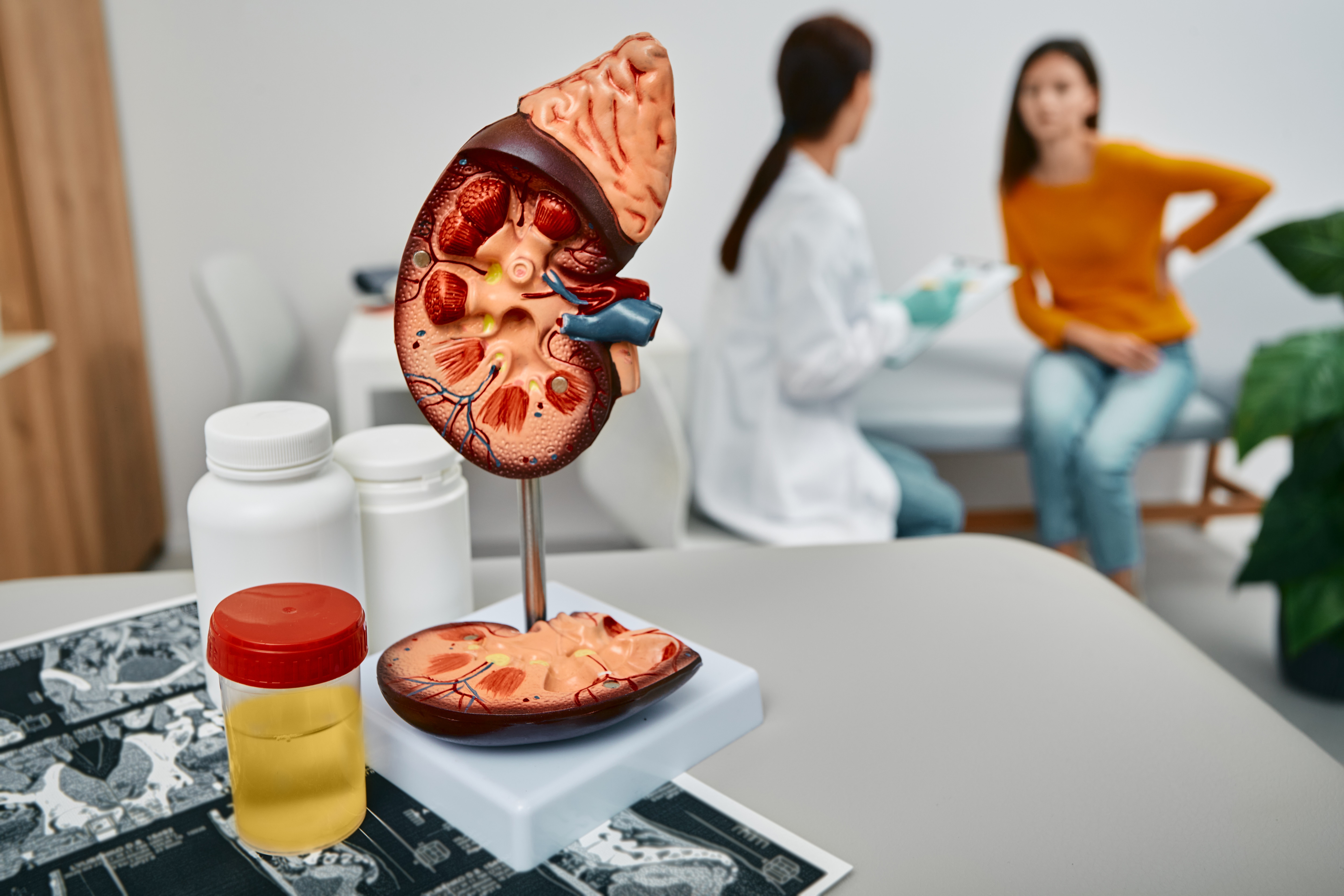 enfermedad renal en pacientes con diabetes tipo2