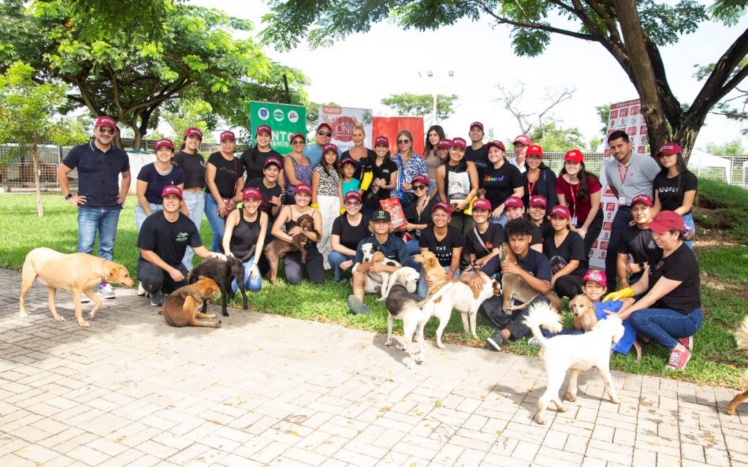 donaciOn