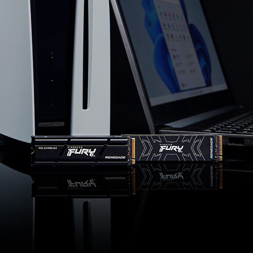 kingston fury renegade ssd 1