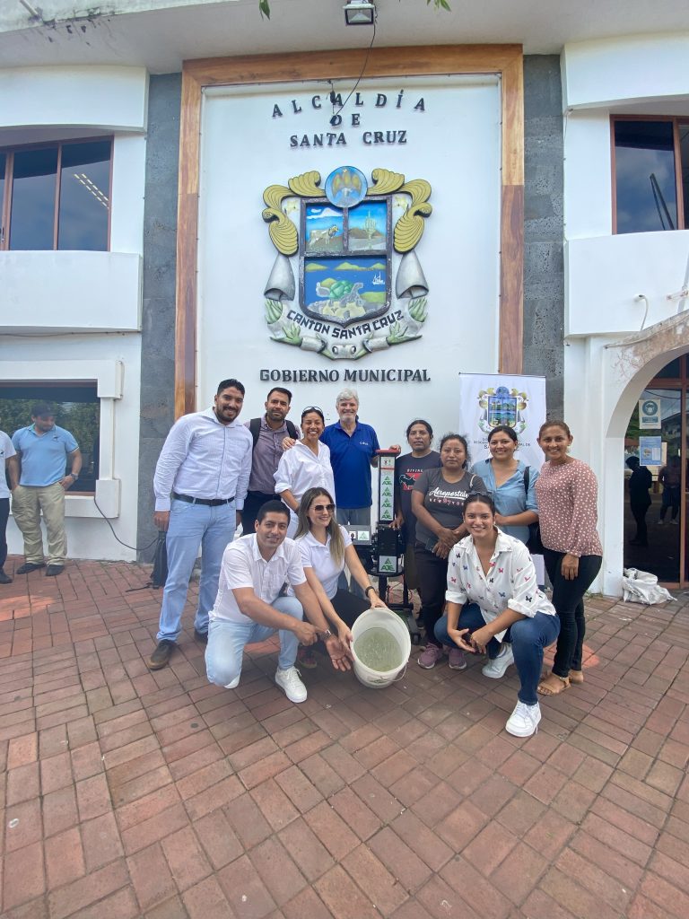 donacion planta aje donacion planta aje